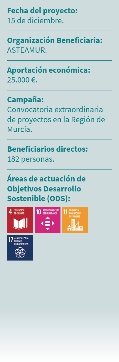 Fecha del proyecto: 15 de diciembre. Organizaci n Beneficiaria: ASTEAMUR. Aportaci n econ mica: 25.000 €. Campa a: Co...
