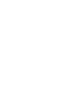 ONGs discapacidad intelectual.,1