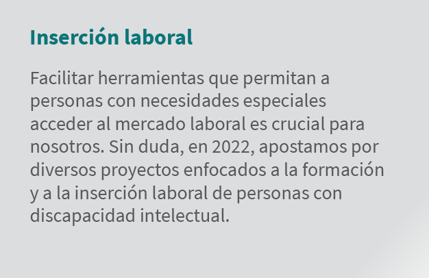 Inserci n laboral Facilitar herramientas que permitan a personas con necesidades especiales acceder al mercado labora...