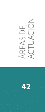 42, reas de actuaci 