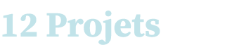12 Projets