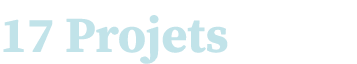 17 Projets