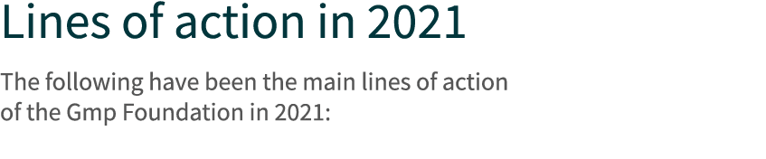Lines of action in 2021  The following have been the main lines of action of the Gmp Foundation in 2021: 