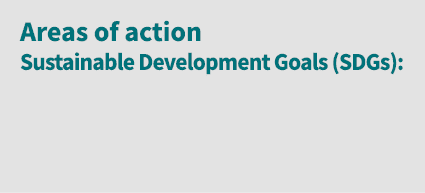 Areas of action Sustainable Development Goals (SDGs):