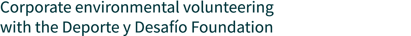 Corporate environmental volunteering with the Deporte y Desafío Foundation
