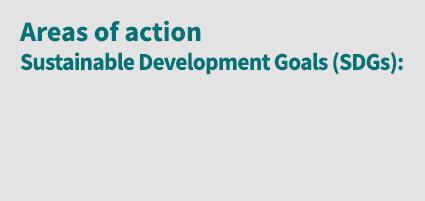 Areas of action Sustainable Development Goals (SDGs):