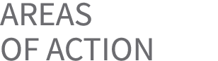 Areas OF ACTION