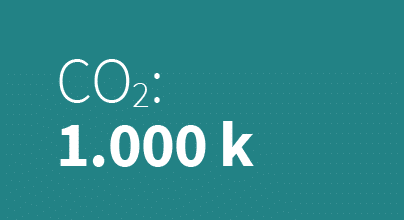 CO2: 1.000 