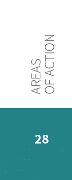 28,Areas OF ACTIO