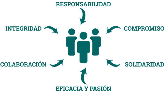 Valores y principios