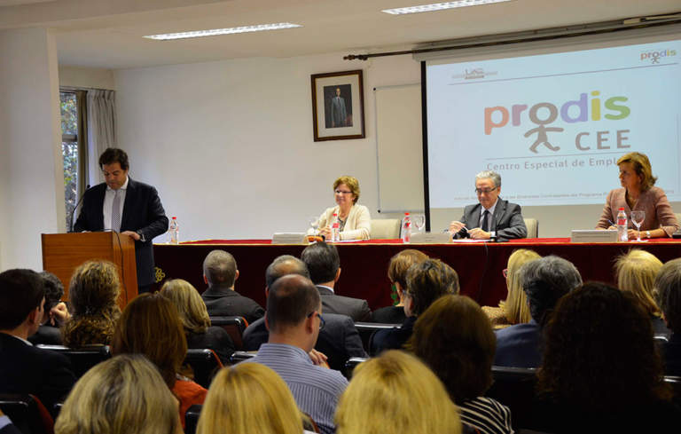 Programa Empresa Fundación Prodis 2013